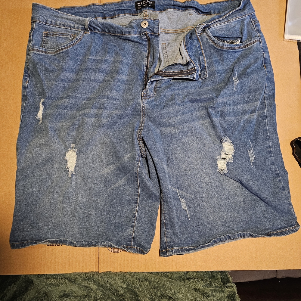 BloomChic Classic Blue Denim Shorts 26W - NWOT